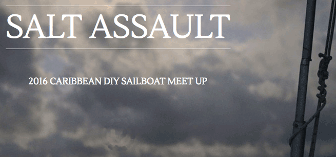 salt-assault